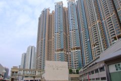 20090407-dscf1663-shatin