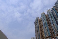 20090407-dscf1668-shatin