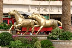 20090407-dscf1670-shatin