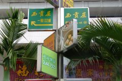 20090407-dscf1675-shatin
