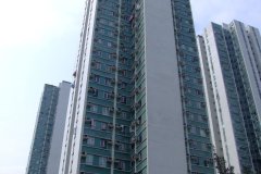20090407-dscf1677-shatin