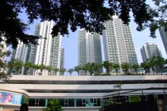 20090407-dscf1698-shatin