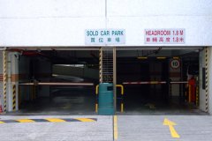 20090407-dscf1707-shatin