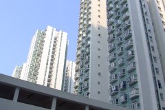 20090407-dscf1710-shatin