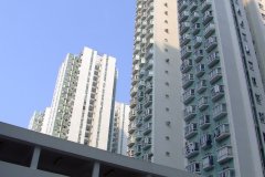 20090407-dscf1711-shatin