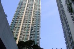 20090407-dscf1712-shatin