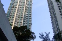 20090407-dscf1713-shatin