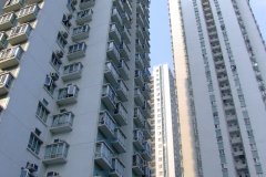 20090407-dscf1717-shatin