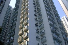 20090407-dscf1718-shatin