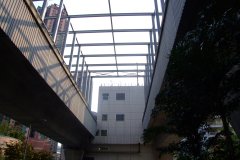 20090407-dscf1720-shatin