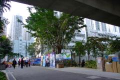20090407-dscf1725-shatin