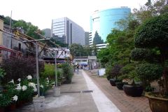 20090408-dscf1814-shatin