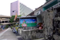 20090408-dscf1825-shatin