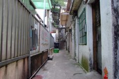 20090408-dscf1828-shatin