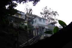 20090408-dscf1837-shatin