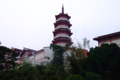 20090408-dscf1895-shatin