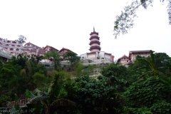 20090408-dscf1901-shatin