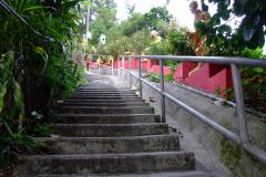 20090408-dscf1920-shatin