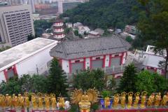 20090408-dscf1987-shatin
