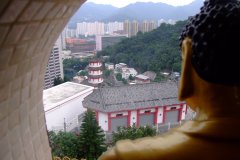 20090408-dscf2000-shatin