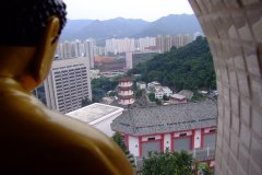 20090408-dscf2003-shatin