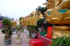 20090408-dscf2024-shatin