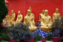 20090408-dscf2037-shatin