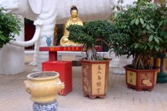 20090408-dscf2039-shatin