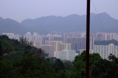 20090408-dscf2127-shatin