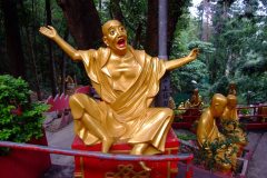 20090408-dscf2154-shatin