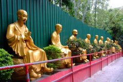 20090408-dscf2218-shatin