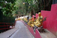 20090408-dscf2223-shatin