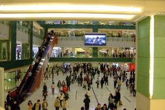 20090408-dscf2344-shatin
