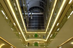 20090408-dscf2368-shatin