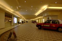 20090408-dscf2369-shatin