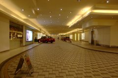 20090408-dscf2372-shatin