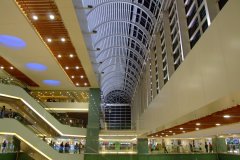 20090408-dscf2381-shatin