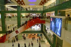 20090408-dscf2392-shatin