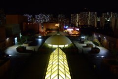 20090408-dscf2420-shatin