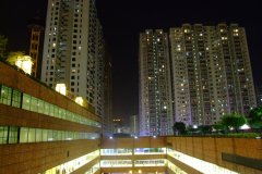 20090408-dscf2503-shatin