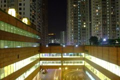 20090408-dscf2509-shatin