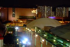 20090408-dscf2565-shatin