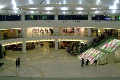20090408-dscf2617-shatin