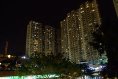 20090408-dscf2636-shatin