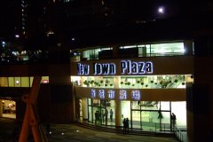20090408-dscf2642-shatin