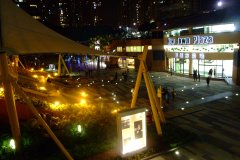 20090408-dscf2645-shatin