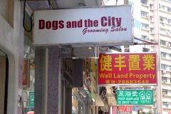 20090409-dscf2968-hong-kong