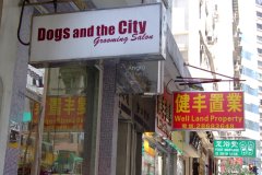 20090409-dscf2972-hong-kong