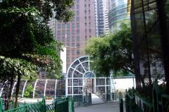 20090409-dscf3047-hong-kong