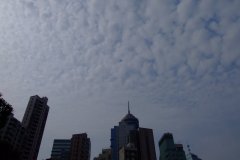 20090409-dscf3177-hong-kong